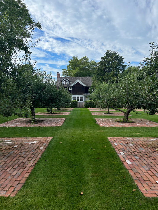 The Loupe in The Hamptons