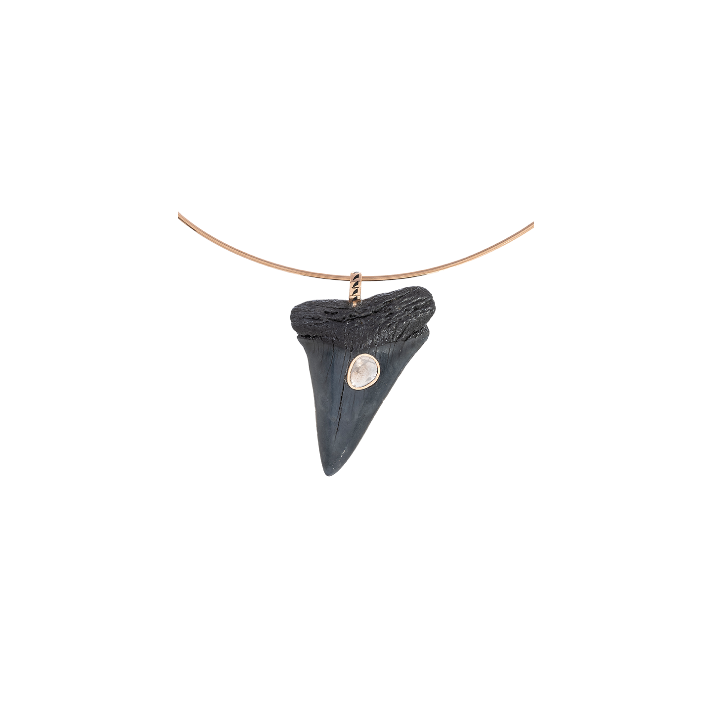 Dezso Fossilized Shark Tooth Charm with Polki Diamond