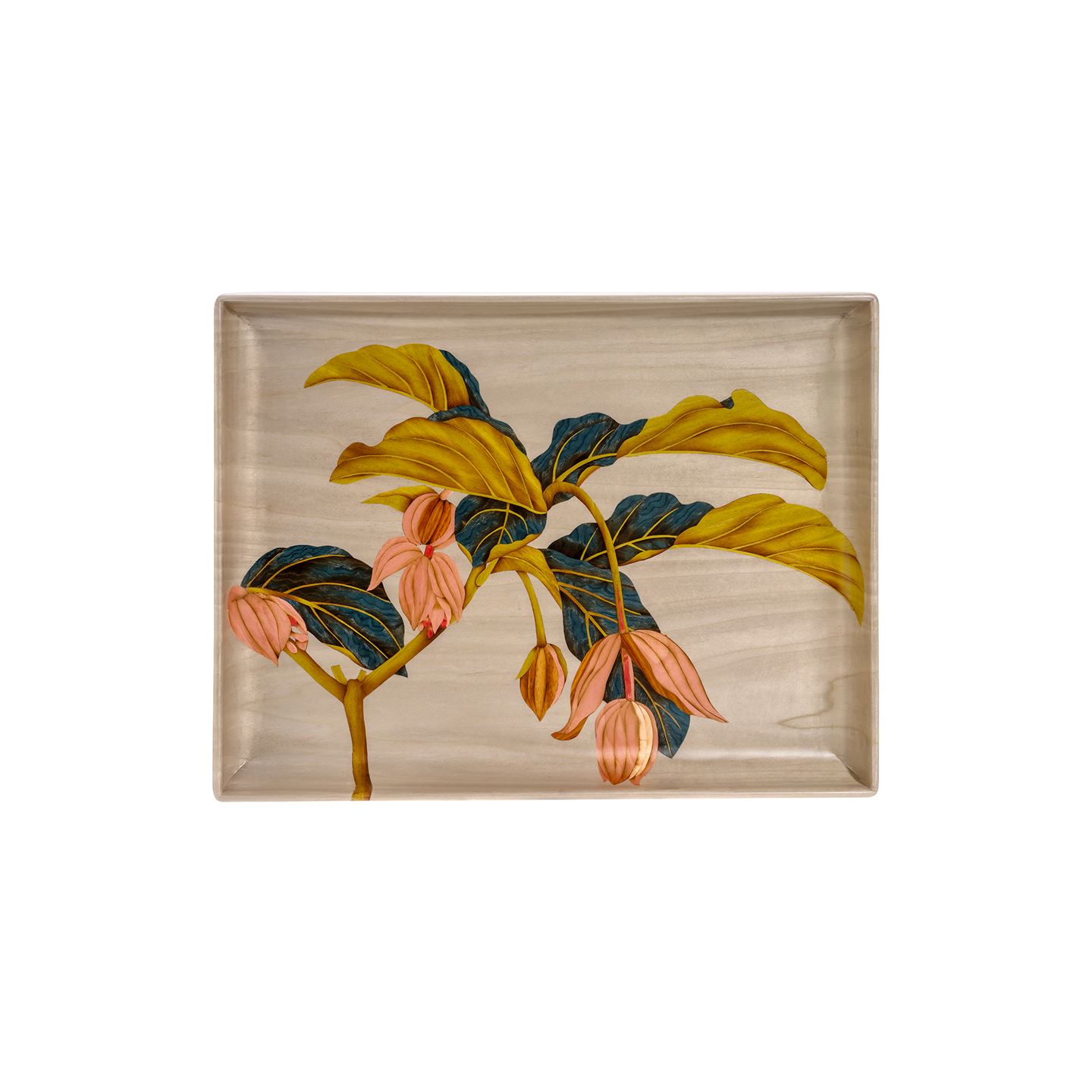 Silvia Furmanovich Marquetry Centerpiece with Medinilla Flower Motif