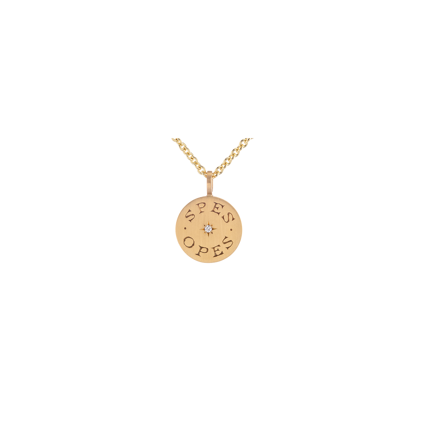 Caroline Ellen Hope and Abundance Disk Pendant with Star Set Diamond