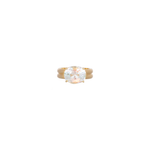 Irene Neuwirth 'Heroic' One-of-a-Kind Rainbow Moonstone Double Band Ring
