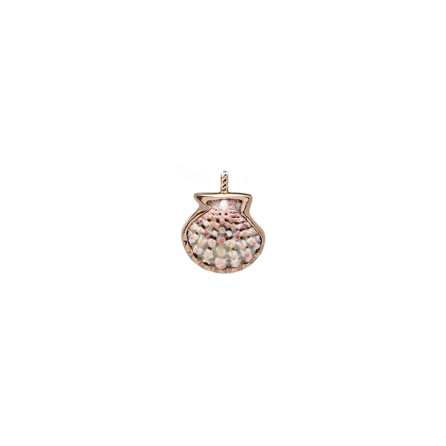 Dezso Natural Clam Shell Charm on Cord Necklace