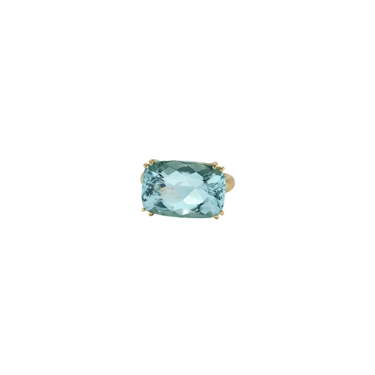 Irene Neuwirth 'Gemmy Gem' One-of-a-Kind Aquamarine Ring