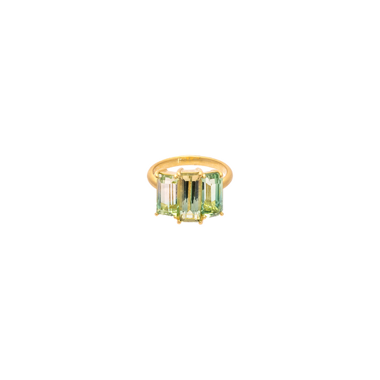 Irene Neuwirth 'Gemmy Gem' One-of-a-Kind Bi-color Tourmaline Ring