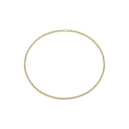 Lizzie Mandler Micro Chain Necklace