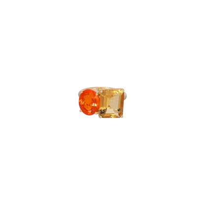 Irene Neuwirth 'Gemmy Gem' One-of-a-Kind Two Stone Ring with Beryl and Fire Opal
