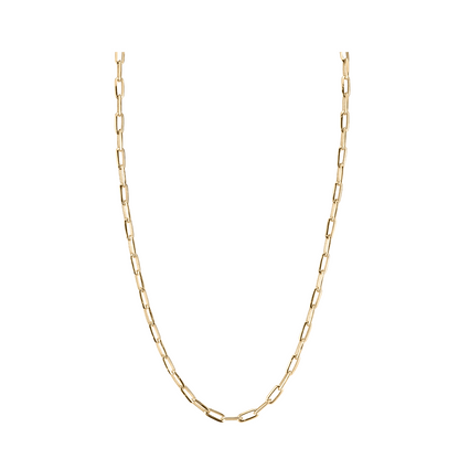 Lizzie Mandler Knife Edge Oval Link Chain