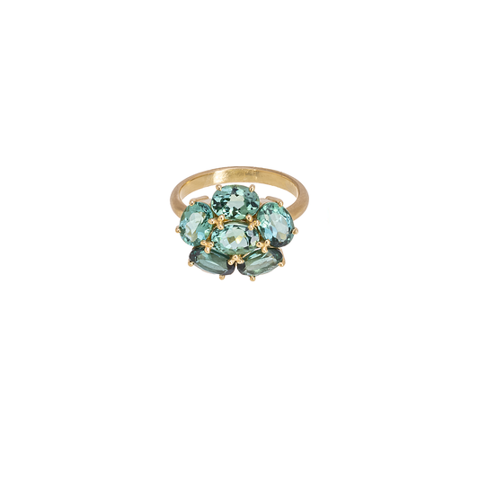 Irene Neuwirth 'Gemmy Gem' One-Of-A-Kind Indicolite Ring